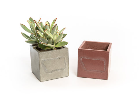 A set of two personalized concrete planters. One in grey with a succulent potted in it, one in clay-brown and empty. 