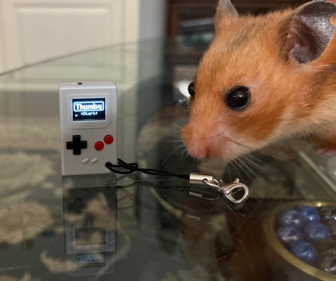 Hamster playing a small video game console