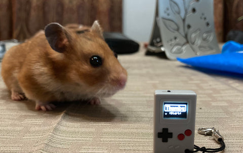 Hamster with small keychain game console