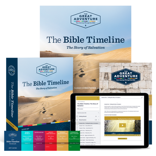 The Bible Timeline the Story of Salvation Starter Pack