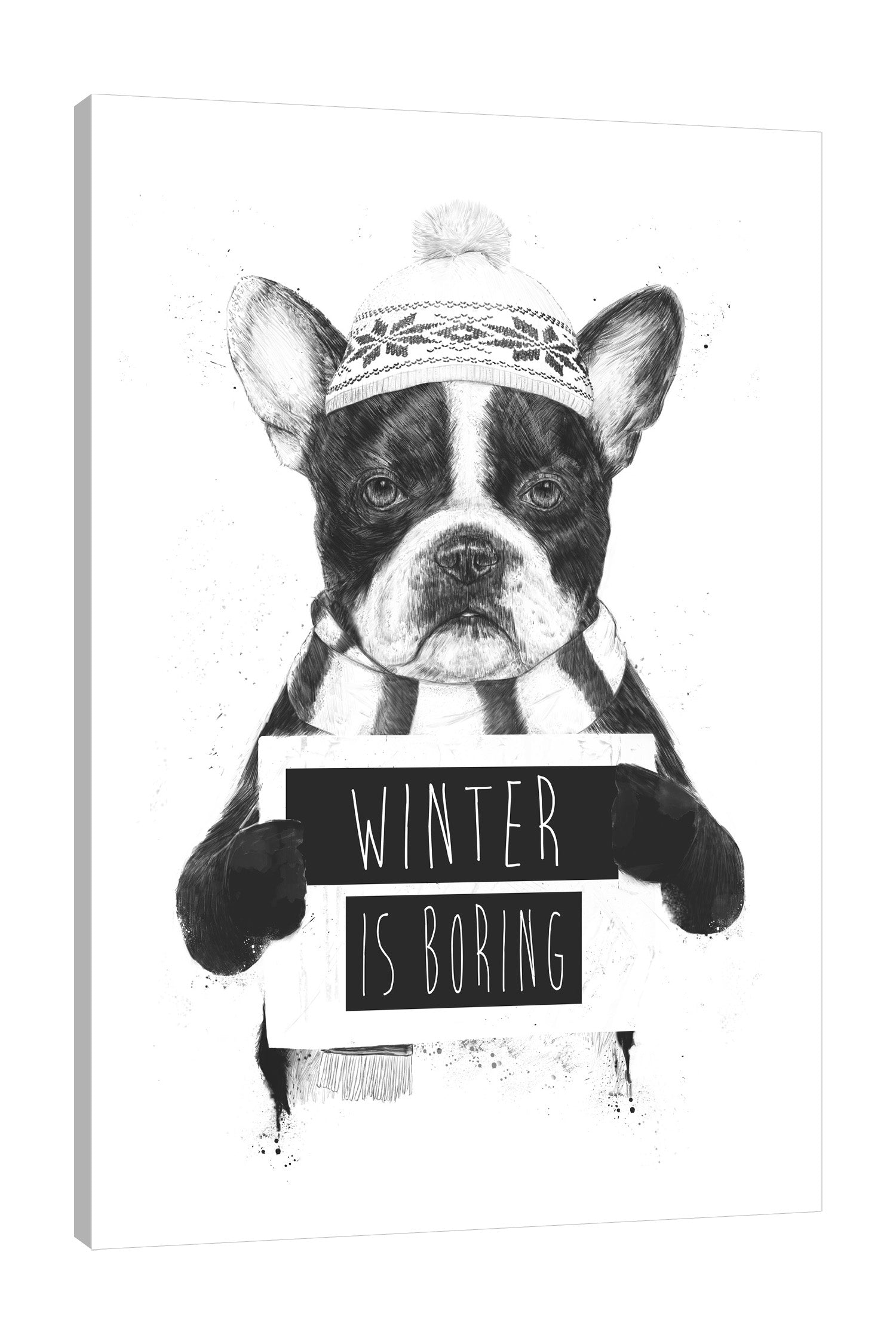 Winter Is Boring