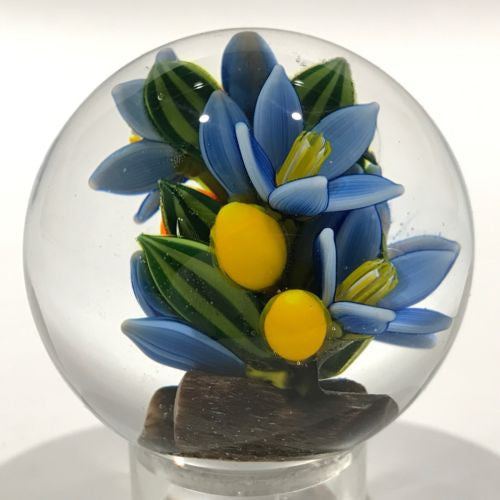 Colin Richardson Art Glass Paperweight Orb Floral Lampworked 2 Sided M – The Paperweight Collection