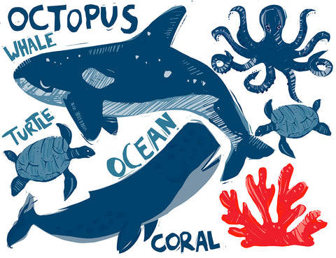 Ocean-whales-octopus-turtle-illustration-Emma Evans-Freke