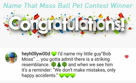 199+ Unique Cool & Cute Moss Ball Names - FoxyNamer