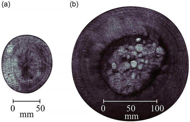 MRI Images of marimo (provided by the research group)