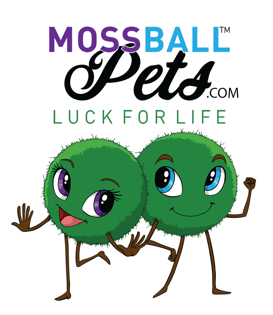 The legend of your Moss Ball Pet – Moss Ball Pets™