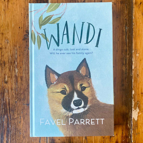 Wandi Book Cover