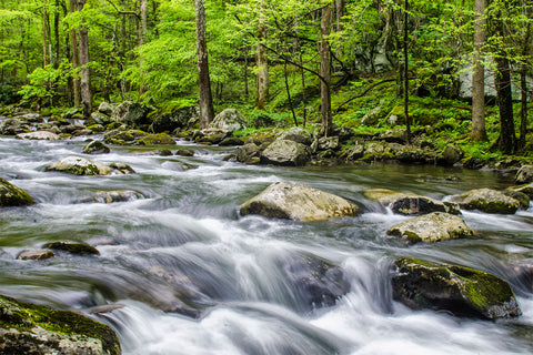 Beautiful river and streams photography