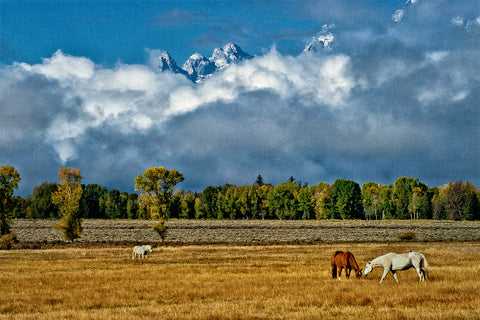 Grand Tetons under the clouds.