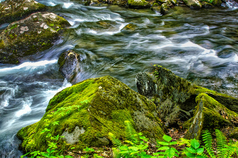 Shop for wild water large canvas prints