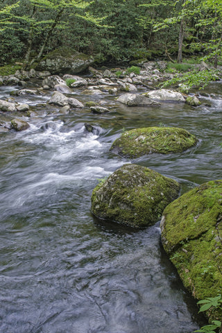 Rushing waters canvas picture prints