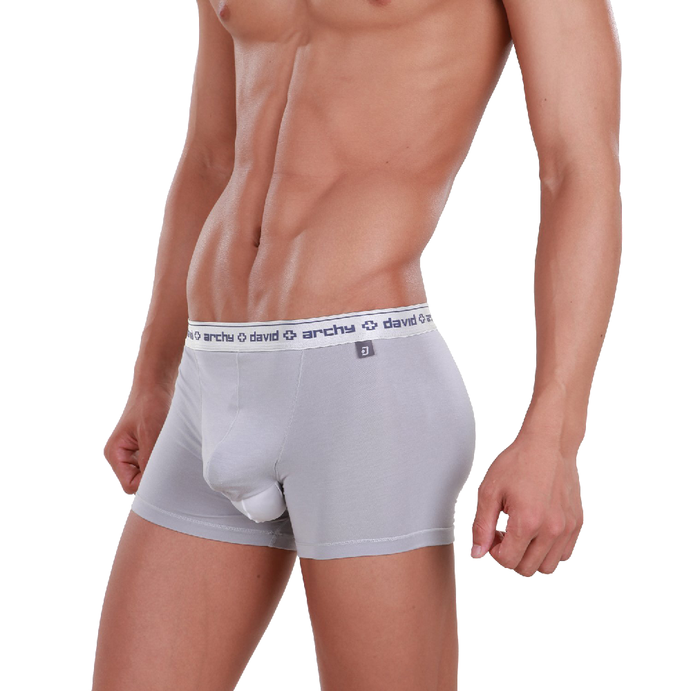 Buy DAVID ARCHY Mens Underwear Dual Pouch Micro Modal Trunks