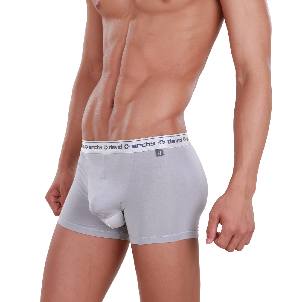 David Archy 4 Packs Trunks Separatec Pouch Micro Modal Dual