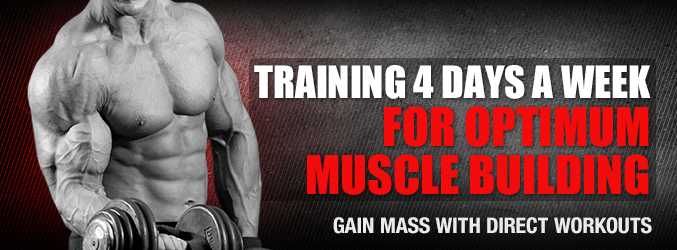 Training 4 Days A Week For Optimum Muscle Building Primal