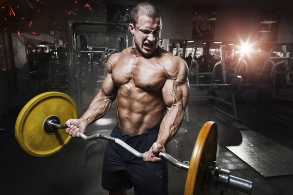 How To Harness The Power Of Ultra-Deep Muscle Fiber Recruitment ...