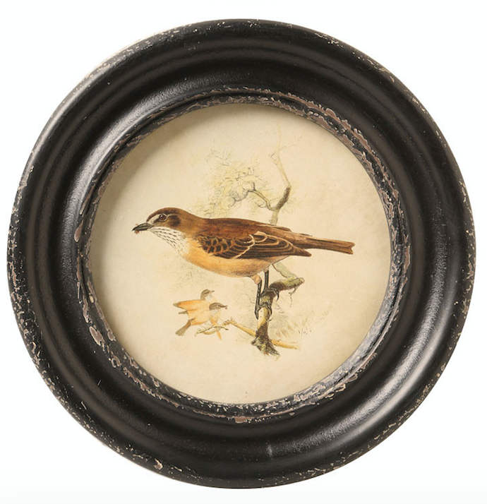 Round Framed Bird Print – E.T. Tobey Company