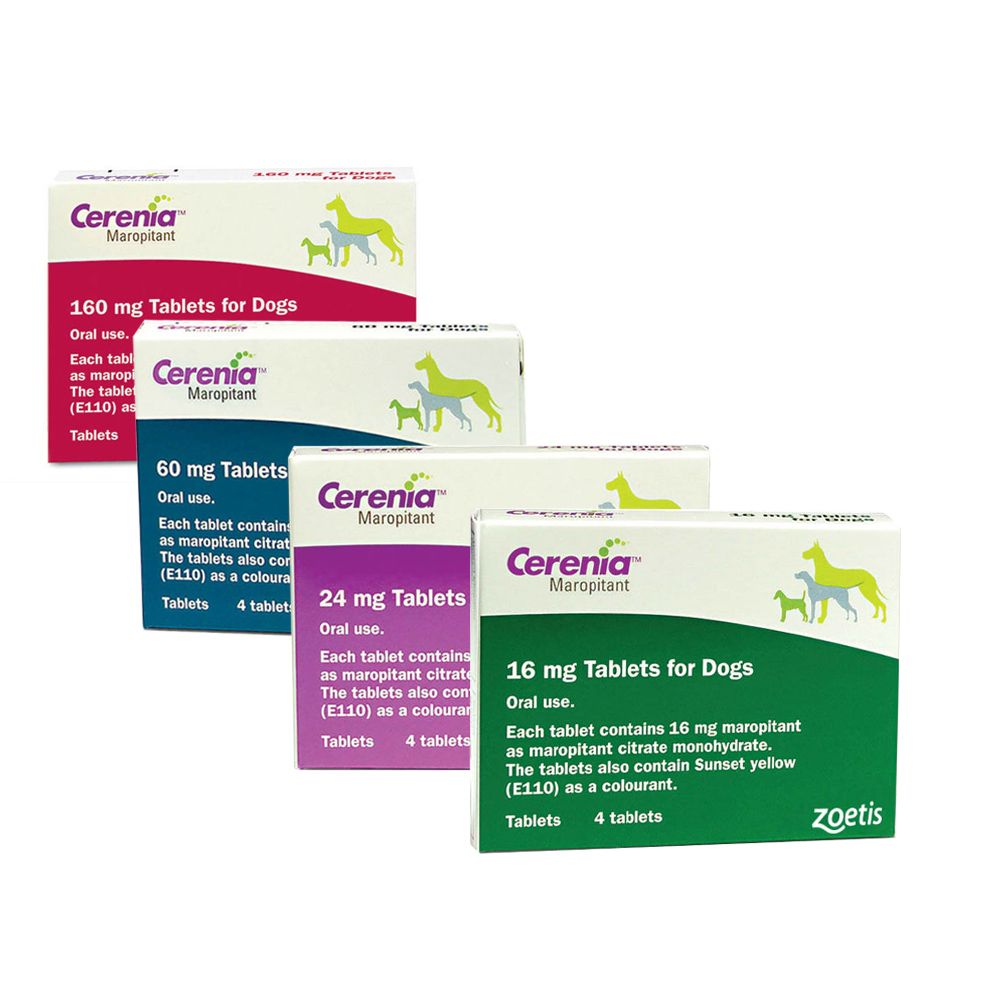 cerenia-tablets-for-cats-dose-cats-ghy