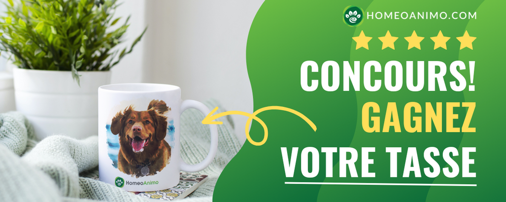 concours homeoanimo gagner votre tasse