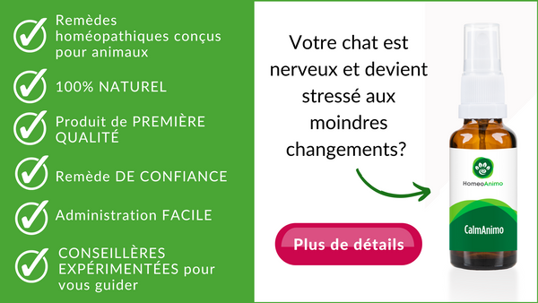 meilleur remède naturel pour chat anxieux