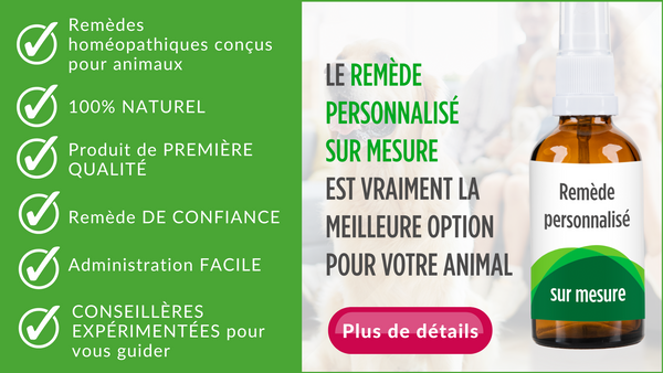 meilleur traitement naturel contre les lipome chez le chien