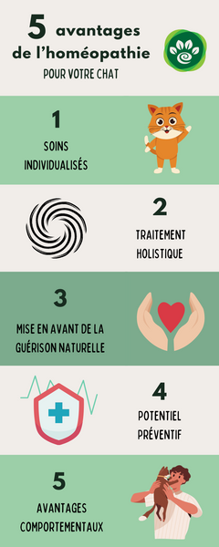 5 avantages de l'homéopathie pour votre chat