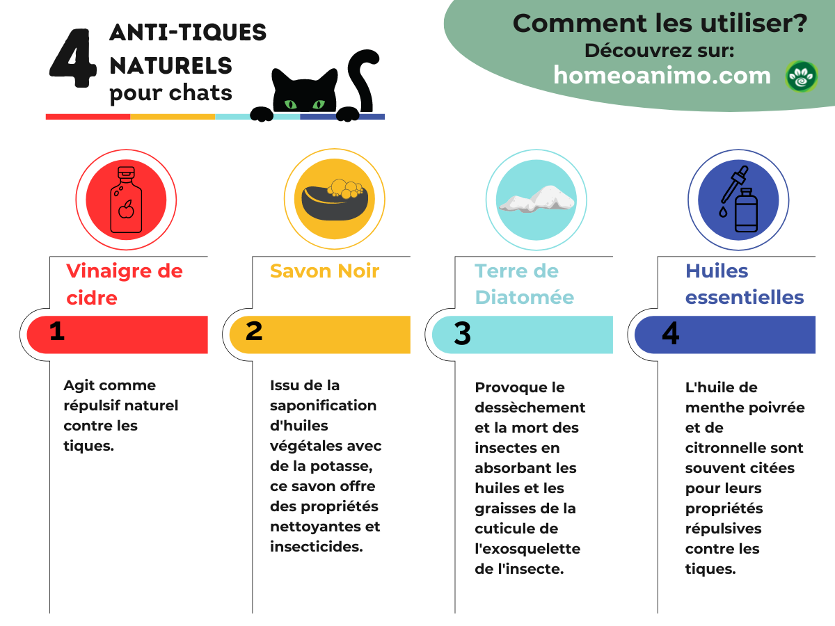 Infographie décrivant les 4 remèdes naturels pour les tiques chez le chat.