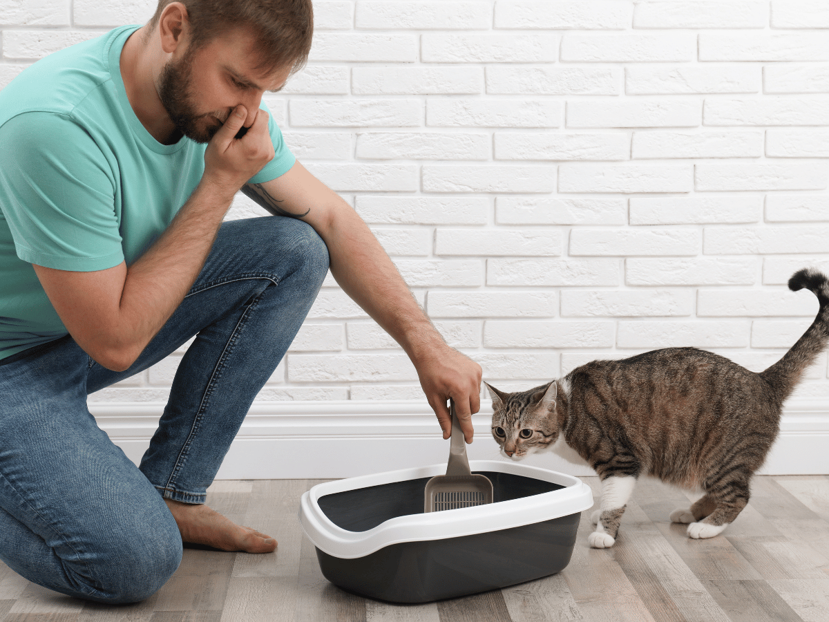 Ce propriétaire de chat utilise un instrument pour vider sa litière, car manipuler des excréments contaminés avec les mains nues peut entraîner une infection