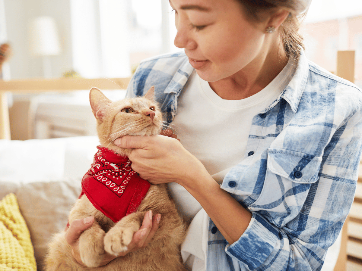 Propriétaire de chat qui se demande si la conjonctivite de son chat est contagieuse pour les humains