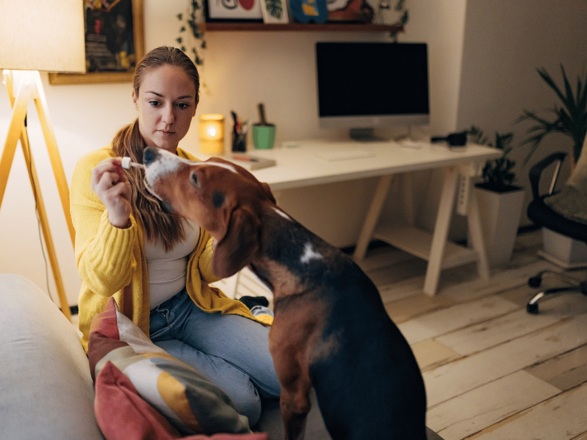 Propriétaire de chien qui donne la médication de son chien contre l'épilepsie