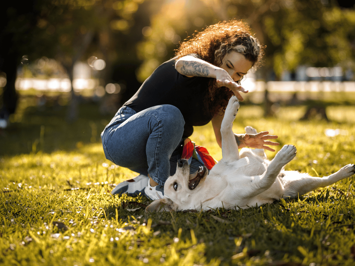 Chien guéri de la colite grâce à des remèdes naturels qui joue avec son maître