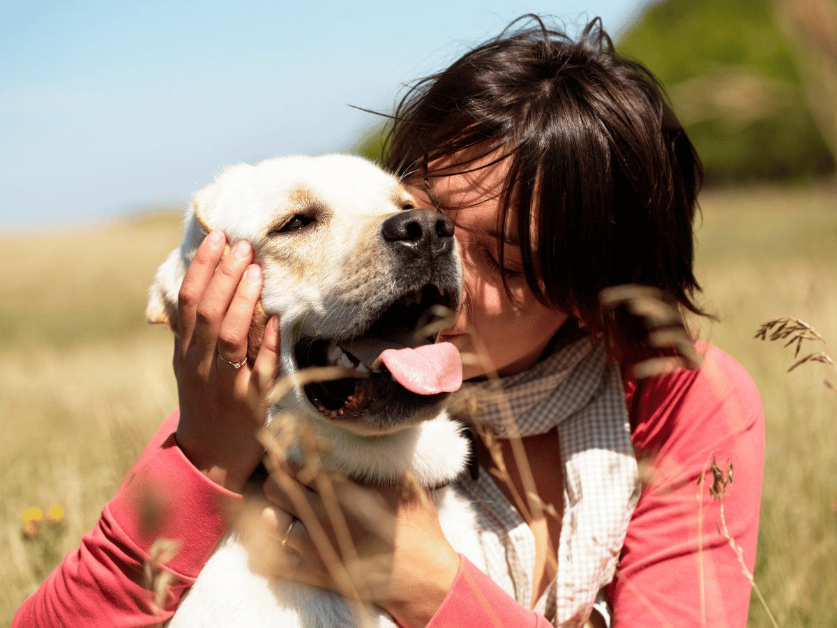 Propriétaire de chien à l'affût de signes d'arythmie chez son chien