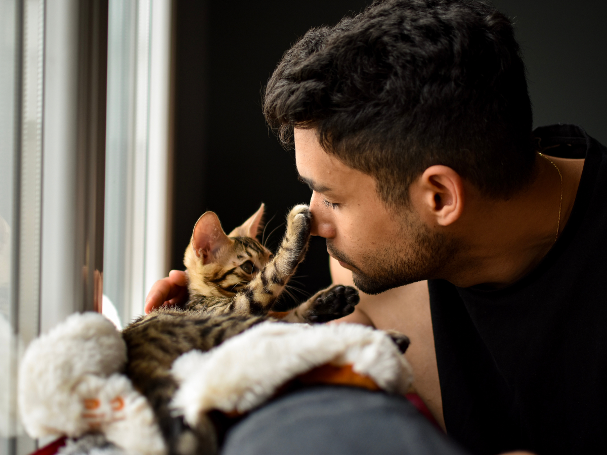Un chat de bengal touche au nez de son propriétaire avec sa patte. Peut-il transmettre une tique à son maître?