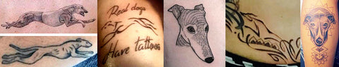 Greyhound tattoos