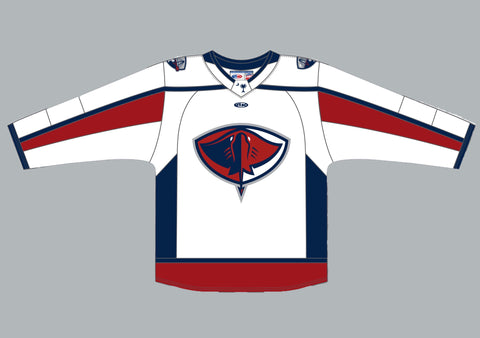 south carolina hockey jersey