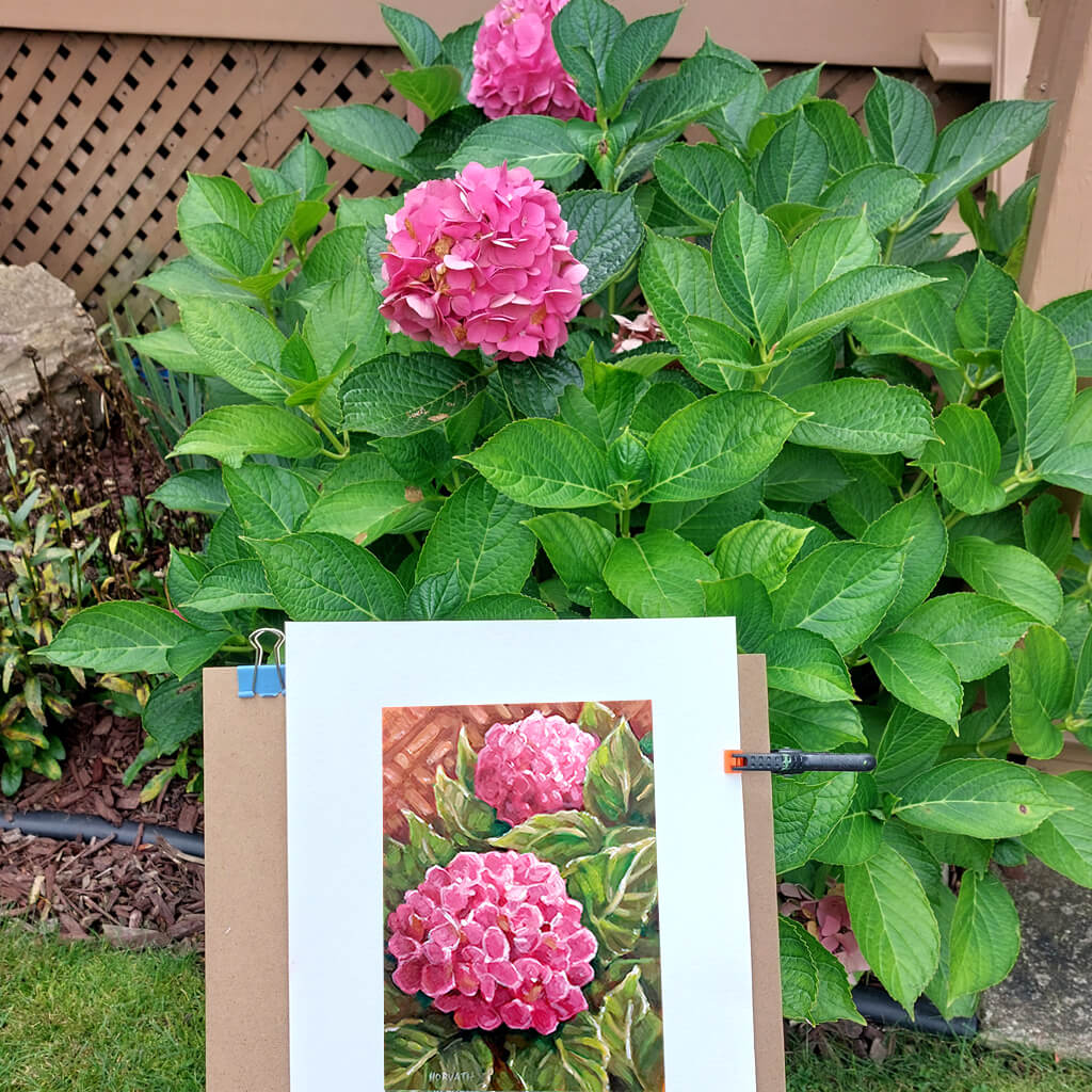 hydrangea  painting in progress