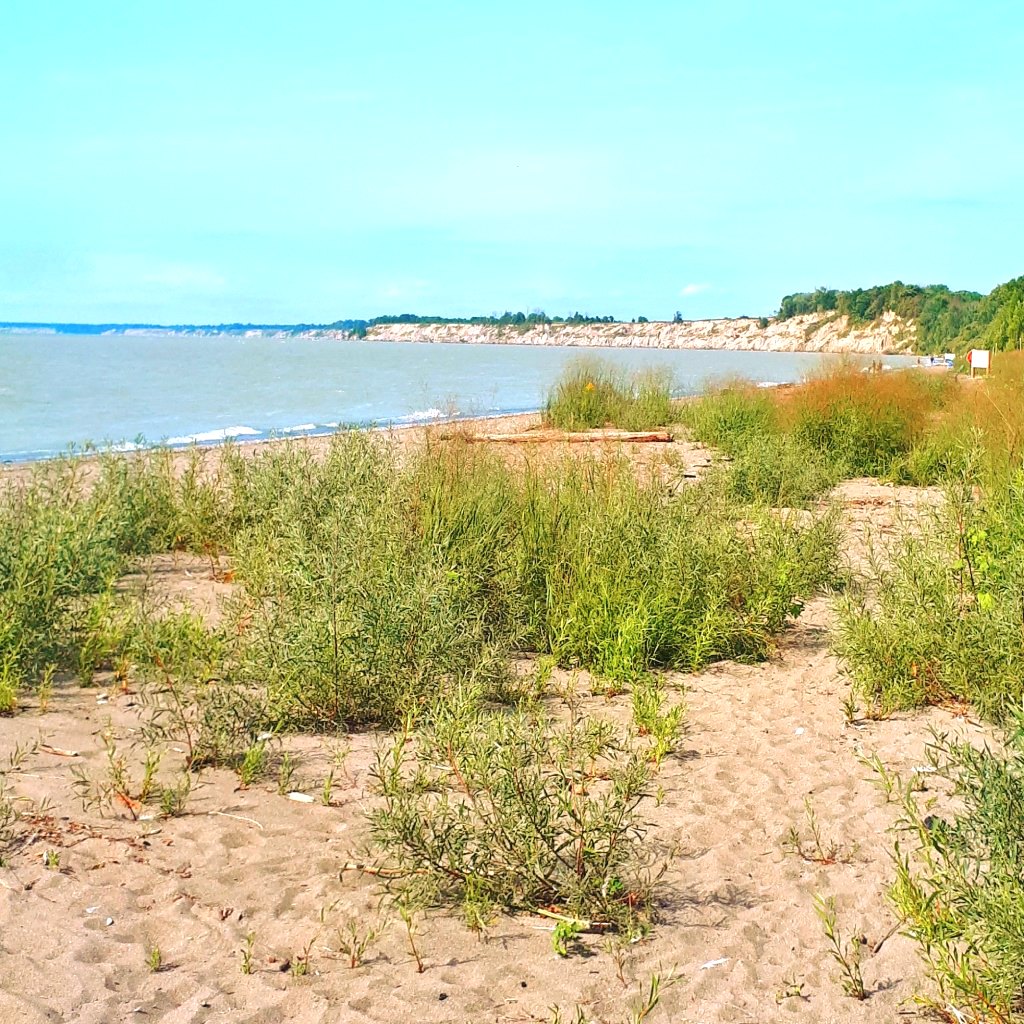 beach photo