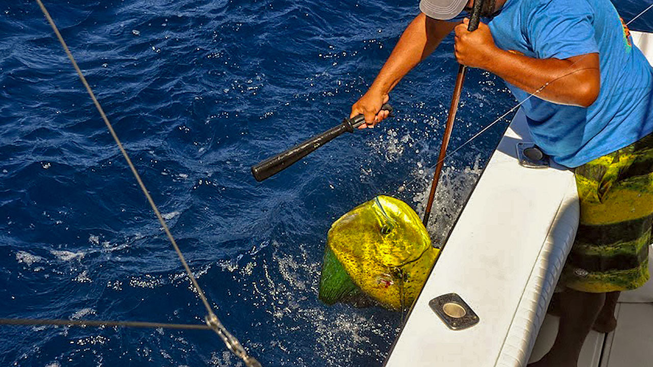 Aftco Rigged 6ft Fly Gaff 10in Hook with Rope - Capt. Harry's Fishing Supply