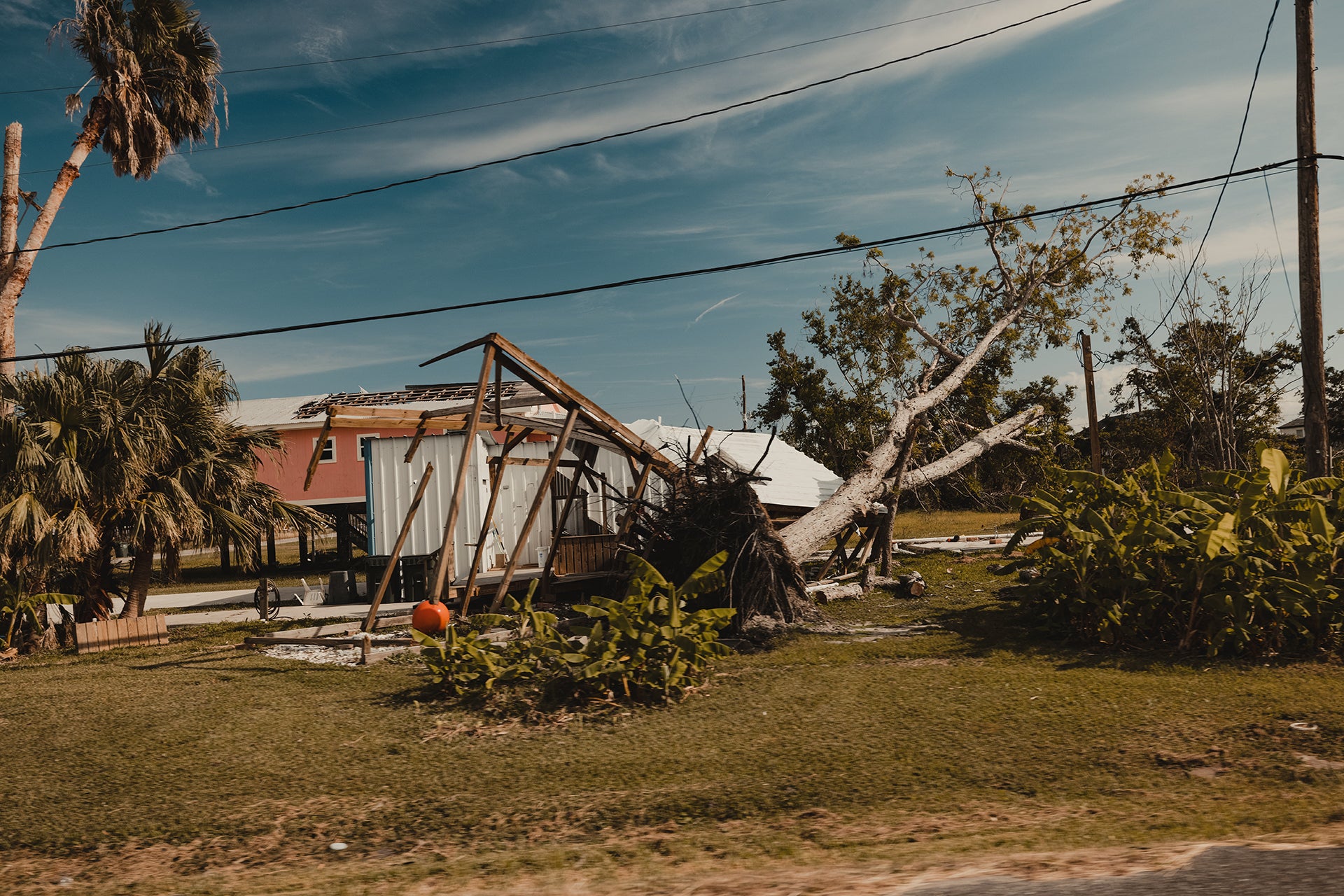 Fallen Tree in a front yard