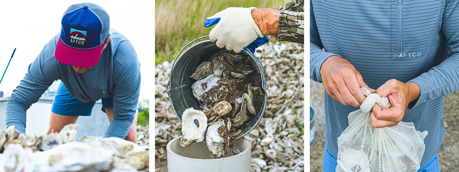 Oyster Reef Restoration Shells