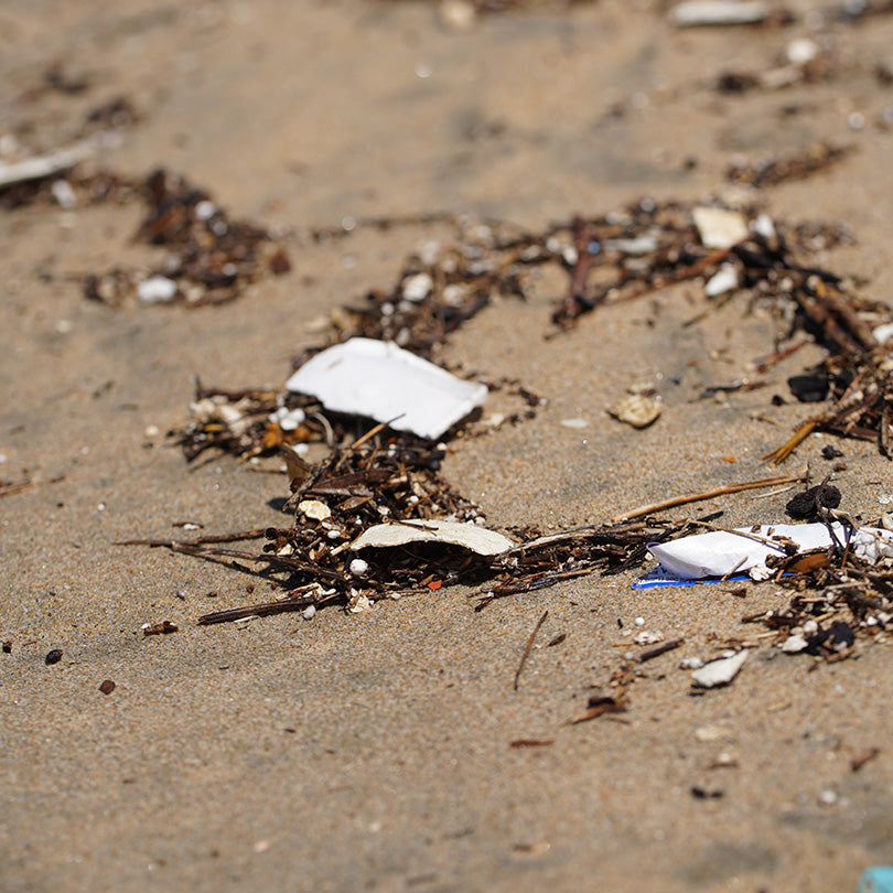 Single Use Plastic on the Beach