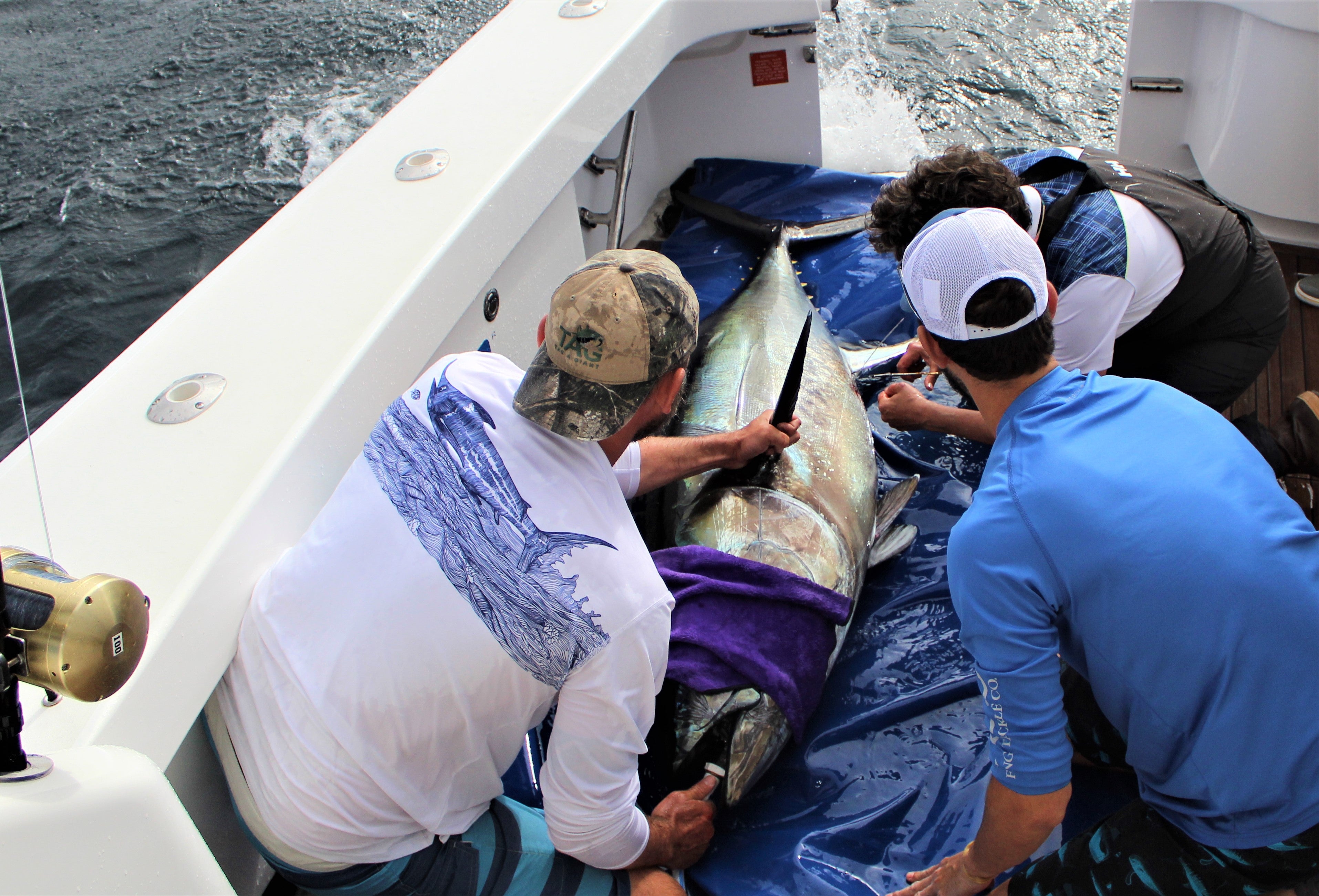 Bluefin Tuna Tagging Science