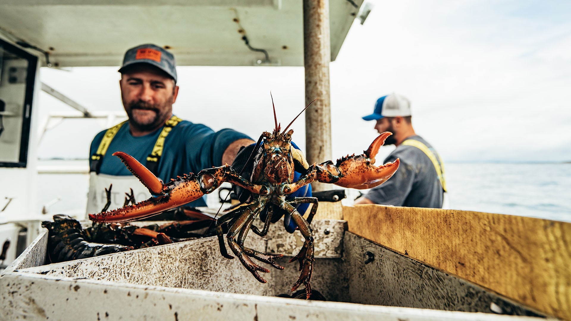 Lobsterman Tim Walsh