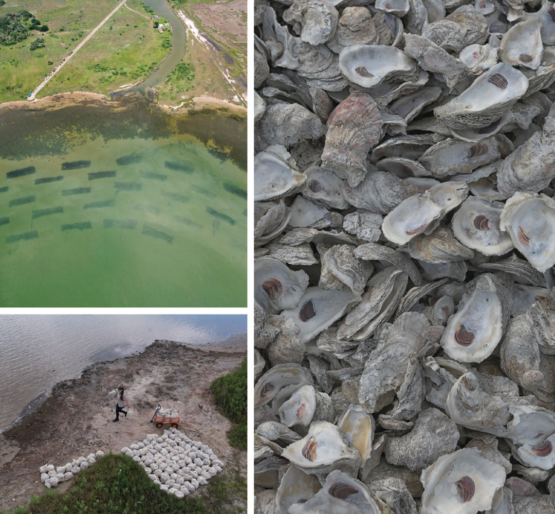 Oyster Project Grid