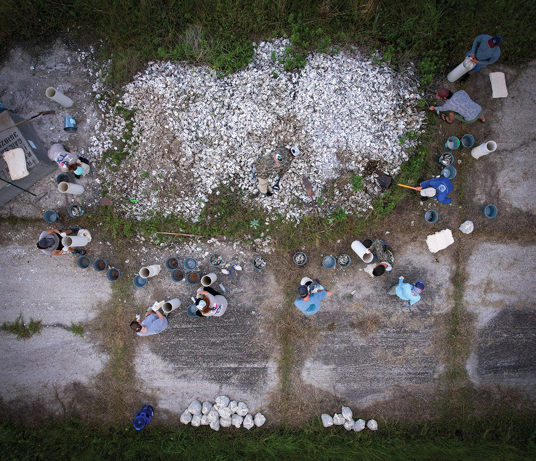 Oyster Project Aerial