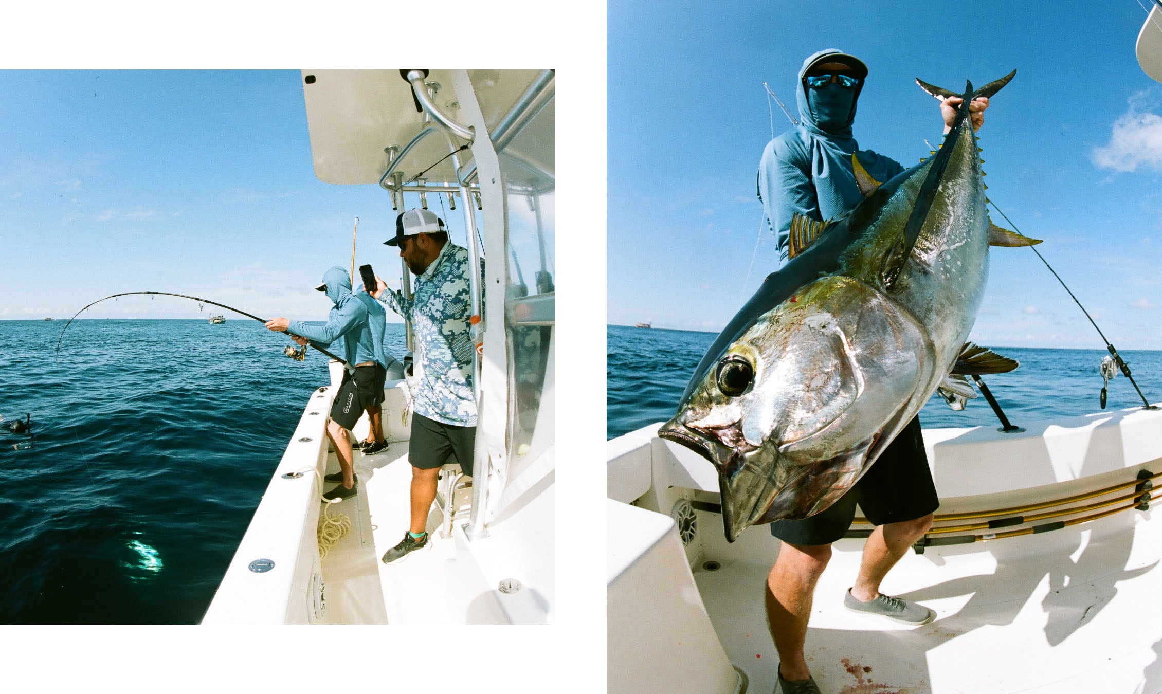 Panama Tuna
