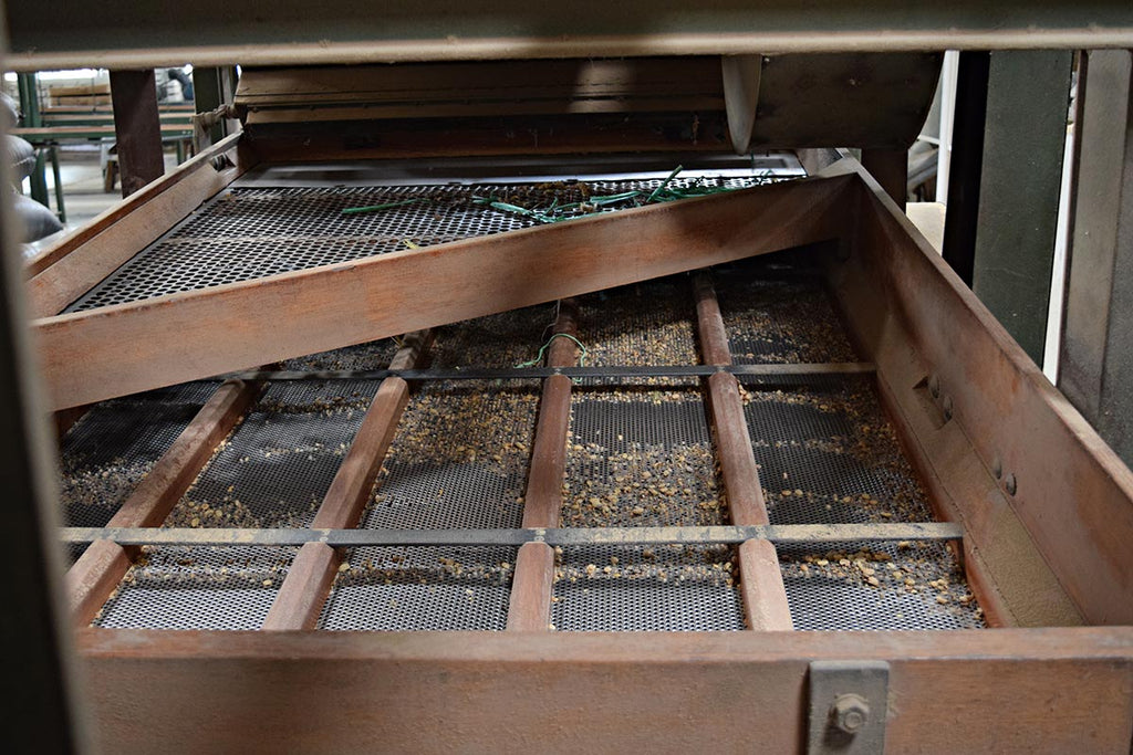 Cafe Femenino Peru - Dry Mill Screens