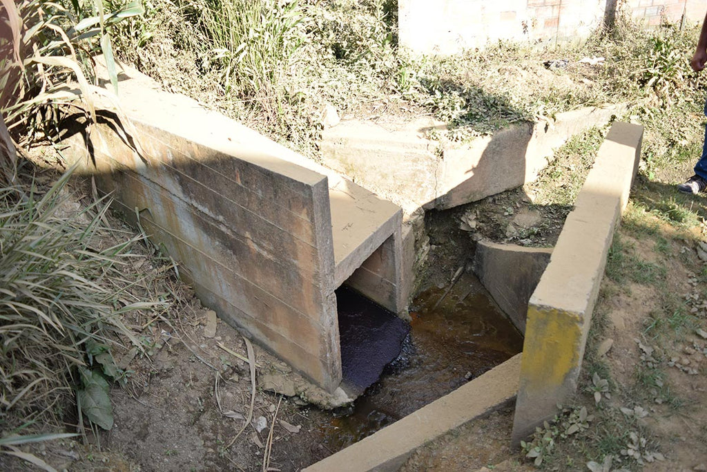 Nueva York Culvert - Cafe Femenino Peru