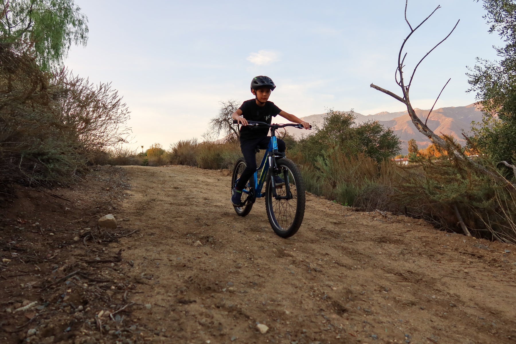 The Sapling Kids Mountain Bike