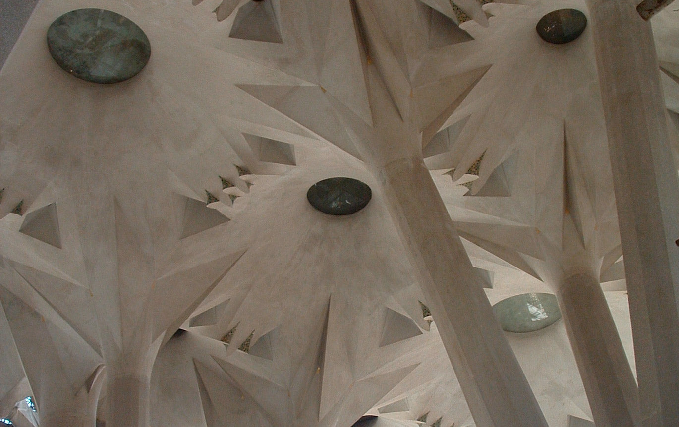 Sharp concrete shapes on a ceiling evoke palm trees.