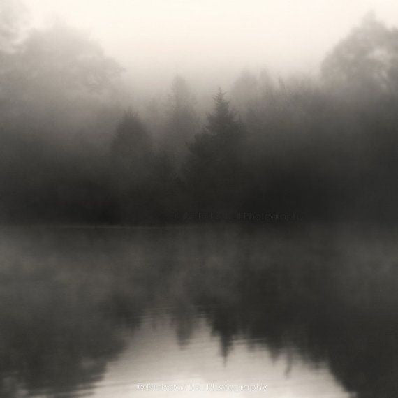 trees, fog and a reflective lake